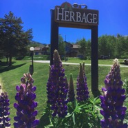 Herbage lower entrance4.jpg