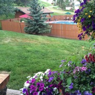 Back porch flower1.jpg